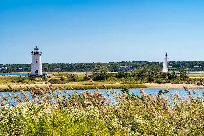 Family Transportation - Martha Vineyard